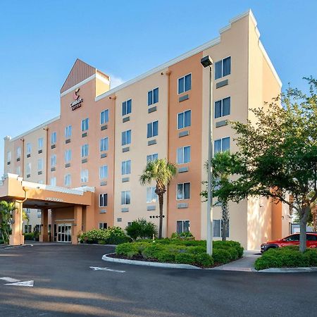 West Chase Comfort Suites Tampa Airport North מראה חיצוני תמונה
