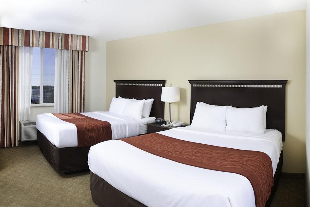 West Chase Comfort Suites Tampa Airport North מראה חיצוני תמונה