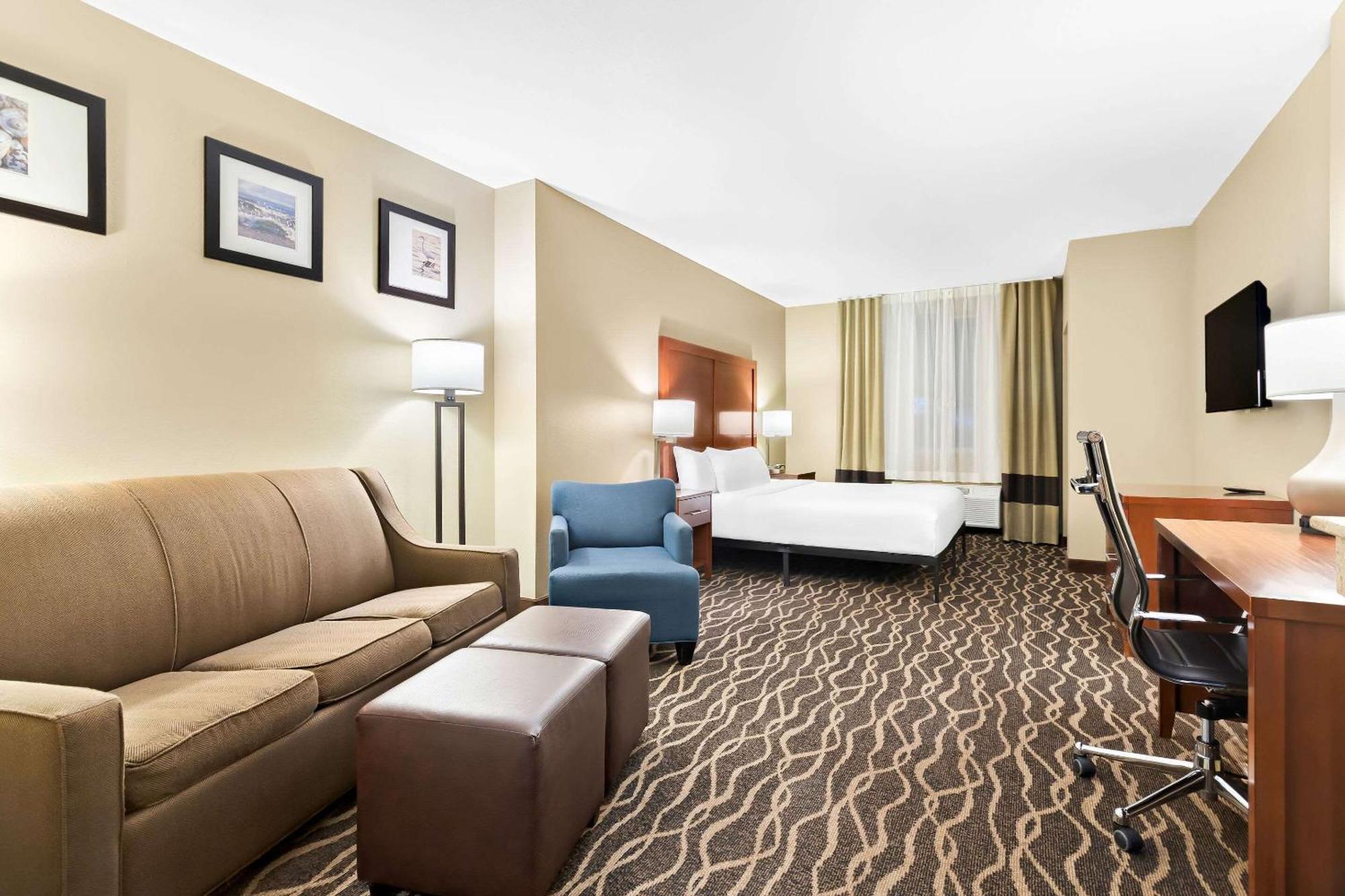 West Chase Comfort Suites Tampa Airport North מראה חיצוני תמונה