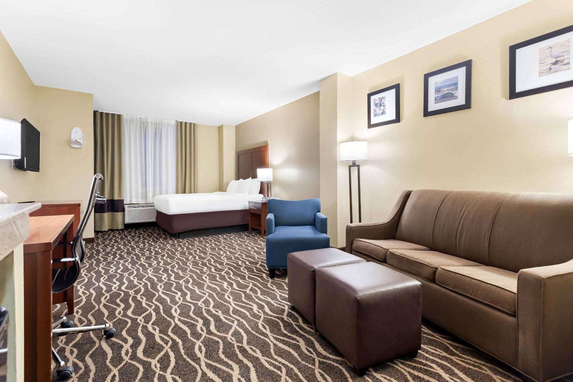West Chase Comfort Suites Tampa Airport North מראה חיצוני תמונה