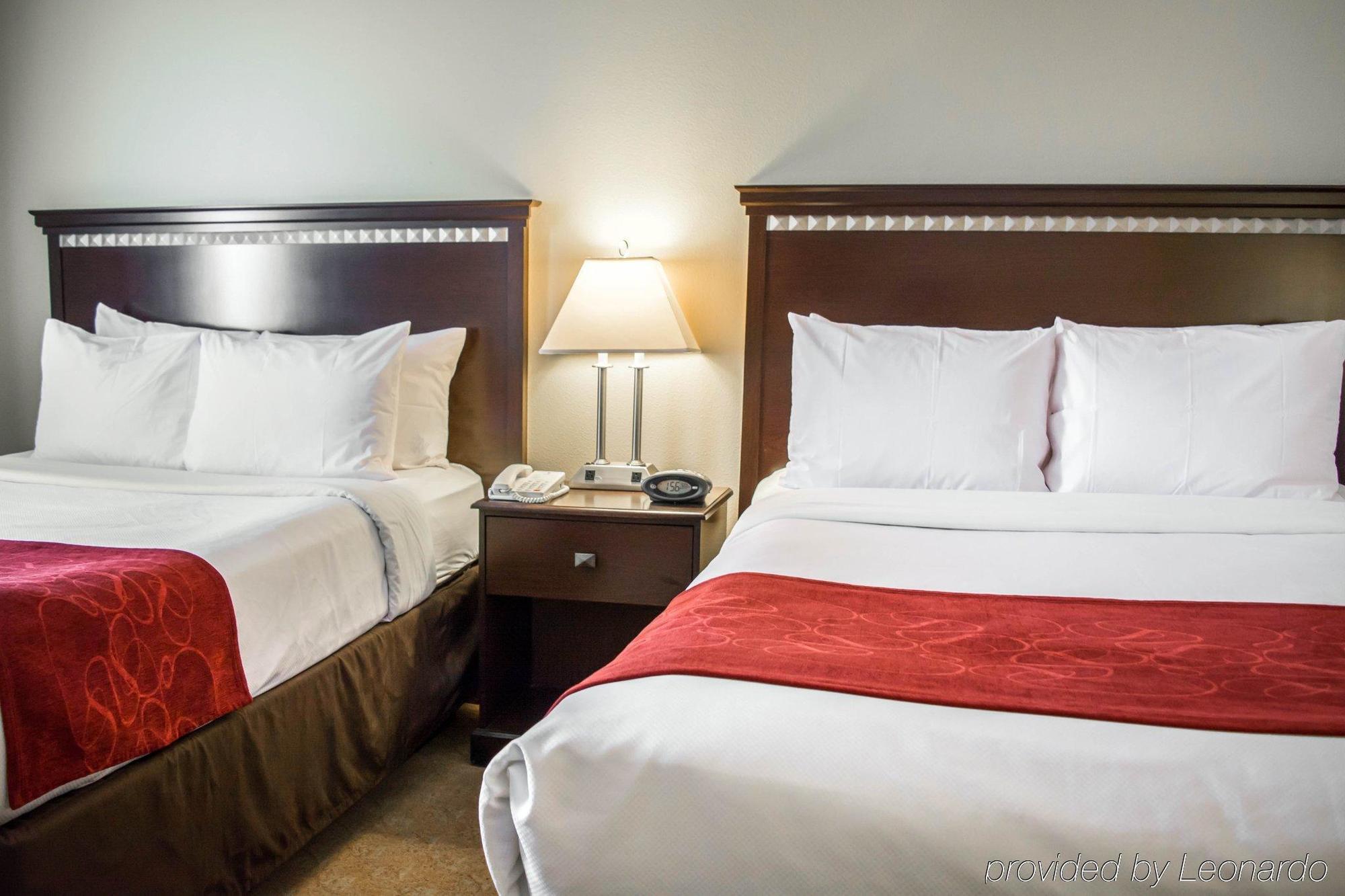 West Chase Comfort Suites Tampa Airport North מראה חיצוני תמונה