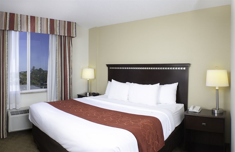 West Chase Comfort Suites Tampa Airport North מראה חיצוני תמונה