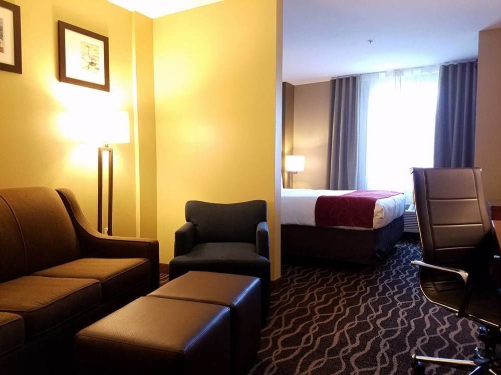 West Chase Comfort Suites Tampa Airport North מראה חיצוני תמונה