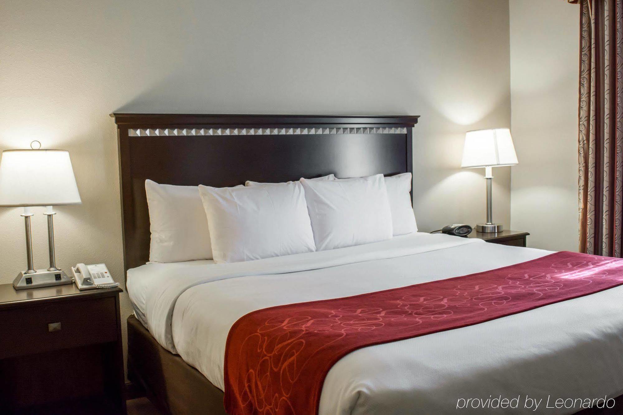 West Chase Comfort Suites Tampa Airport North מראה חיצוני תמונה